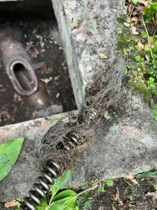 Ein Wasserrohrbruch ist ein technischer Notfall, der sofortige Maßnahmen erfordert. Wenn Wasser unkontrolliert austritt, zählt jede Minute, um die Bausubstanz zu schützen. Hier agiert unser Sanitär Notdienst Hamburg als schneller Ansprechpartner für die Region.