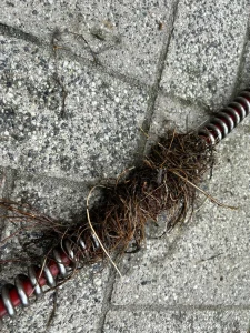 Grabenlose Kanalsanierung: Rohre reparieren ohne Baustelle (Inliner-Verfahren) Defekte Abwasserleitungen stellen Hauseigentümer vor große Herausforderungen. Früher bedeutete ein Riss im Rohr oft, dass der Bagger anrücken musste. Der Garten wurde umgegraben, Gehwege aufgerissen. Heute gibt es Alternativen. Wir von Sanitär & Rohr Profi Service bieten moderne Verfahren an, darunter die Inliner Sanierung Hamburg.